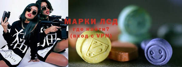 индика Армянск