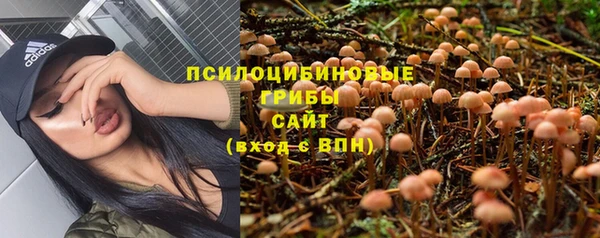 индика Армянск