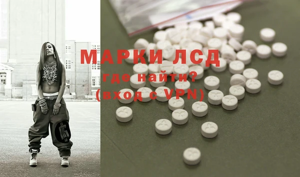 индика Армянск