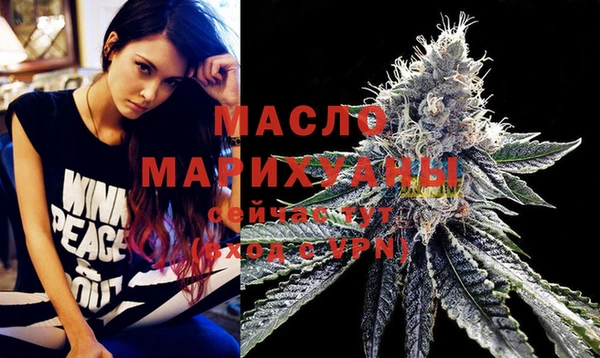 индика Армянск
