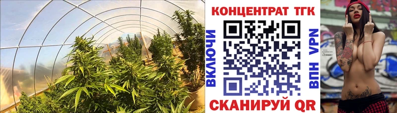 Дистиллят ТГК THC oil  ОМГ ОМГ рабочий сайт  Козьмодемьянск 