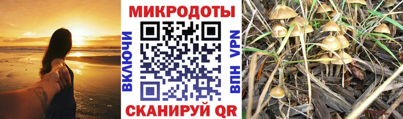 Галлюциногенные грибы MAGIC MUSHROOMS  Козьмодемьянск 